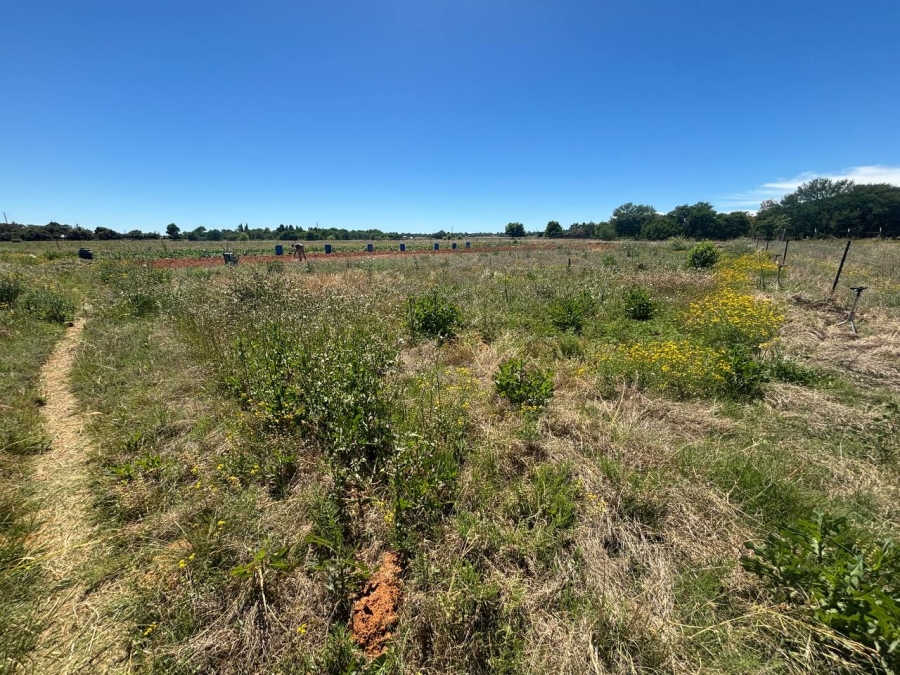 Commercial Property for Sale in Bainsvlei Free State